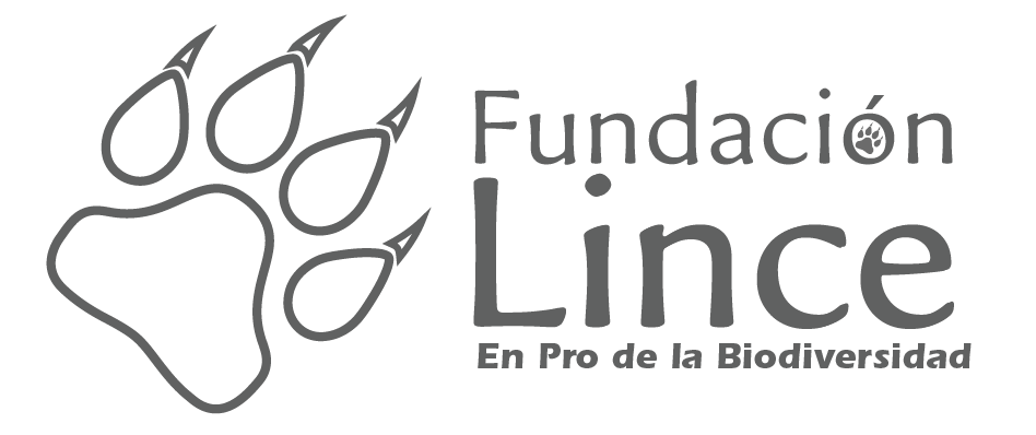 Logo Fundación