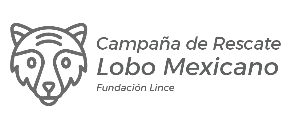 Logo Lobo