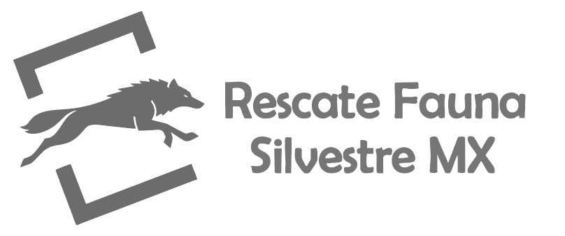 Logo Rescate